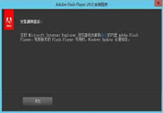 Windows Server 2016、2019顯示啟用Flash