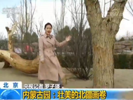 【魅力世園會(huì)】內(nèi)蒙古園:壯美的北疆畫卷