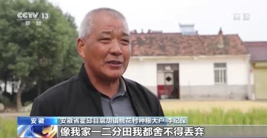 十八連豐！秋收近九成 我國糧食產(chǎn)能穩(wěn)步提升