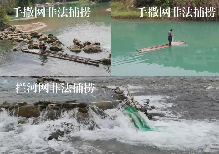 2021年9—10月，前期暗查發(fā)現(xiàn)，保護區(qū)核心區(qū)內非法捕撈行為十分猖獗