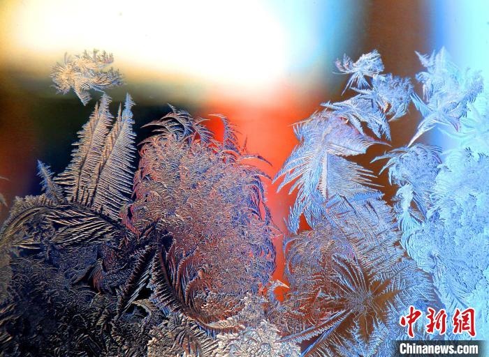 惟妙惟肖的冰窗花，似一幅風(fēng)景畫?！O書程 攝