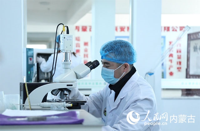 內(nèi)蒙古中農(nóng)興安種牛科技有限公司落戶科右中旗，為肉牛產(chǎn)業(yè)發(fā)展提供了優(yōu)質(zhì)的種源保障。白俊華攝