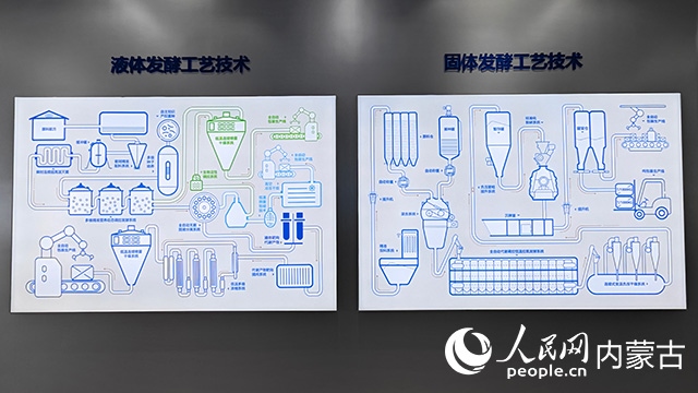 科拓生物工藝技術(shù)展示。人民網(wǎng)記者 張雪冬攝