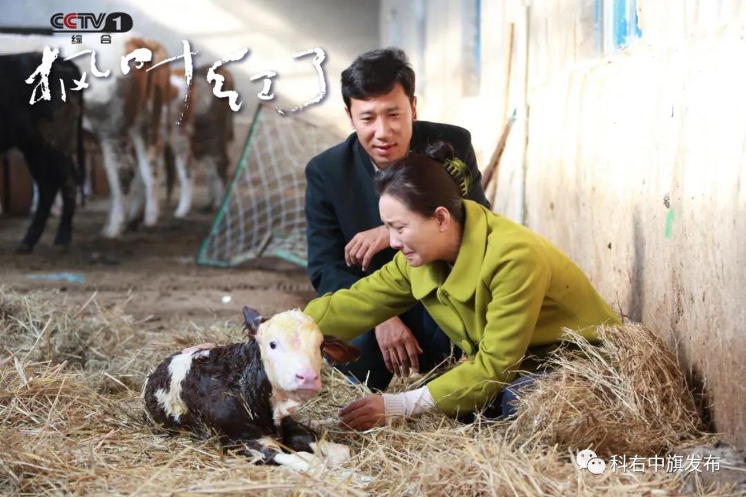 1596610580482327.jpg 微信圖片_20200805145611.jpg