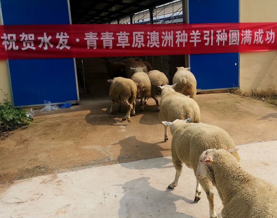 1629083406848641.jpeg WechatIMG3010.jpeg