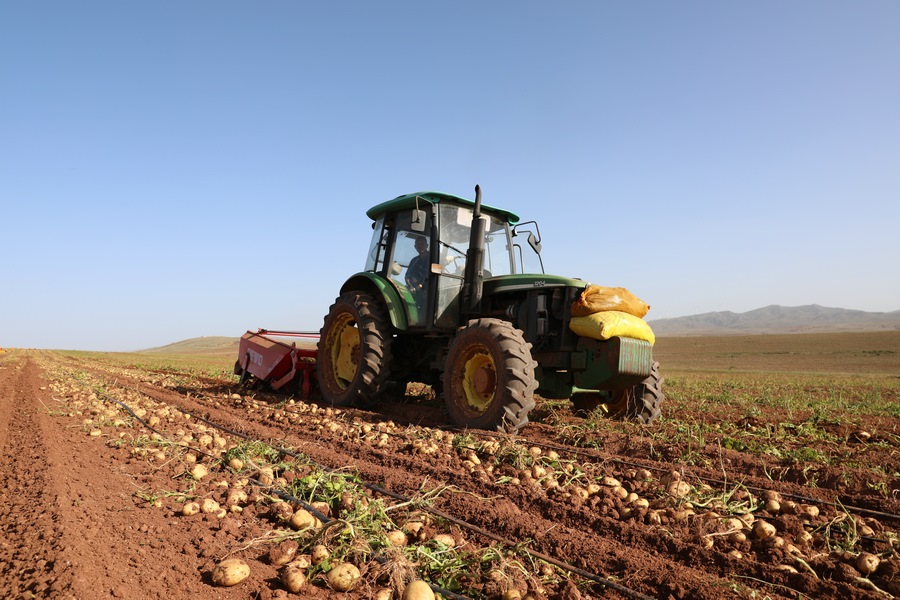 1663645323828189.jpg 7O5A2611.JPG