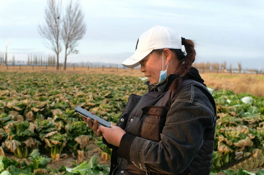 1667662574159604.jpg 微信圖片_20221105231433.jpg