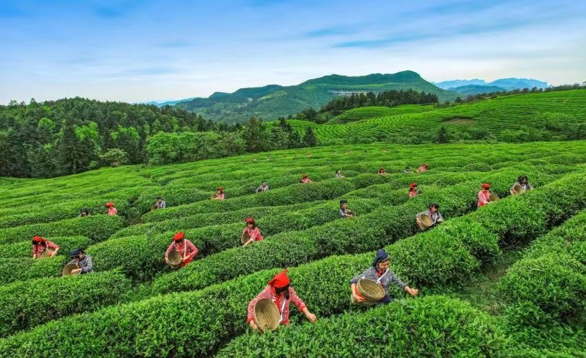 1690274567354237.jpg 微信圖片_20230717114659.jpg