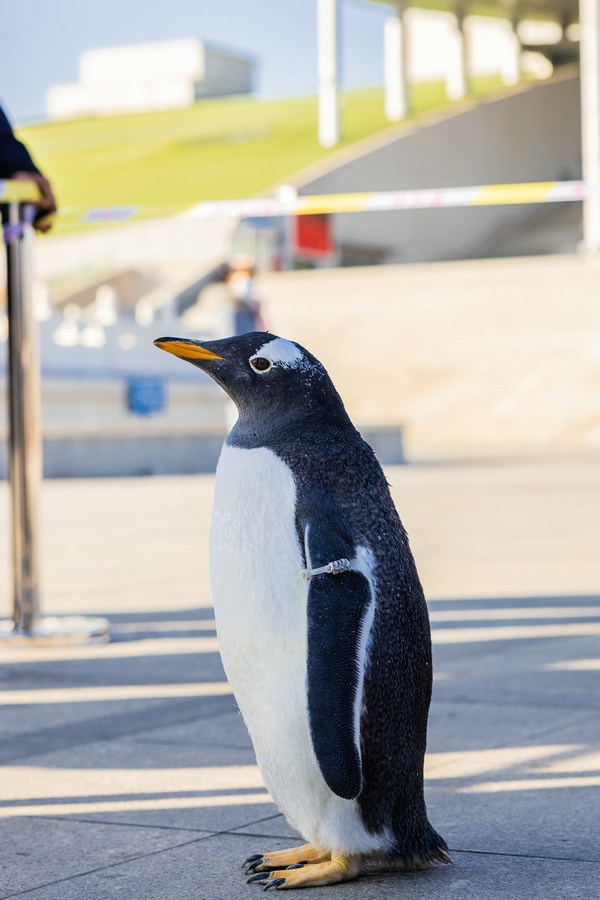 1704448531105109.jpg 3A8A6357.jpg