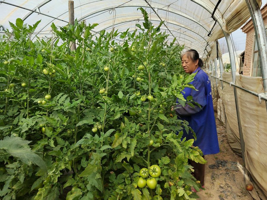 1722304269118070.jpg _K4I9674(2).JPG