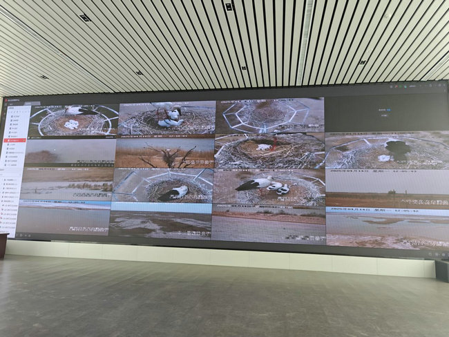 1744852544103715.jpg 東營(yíng)3.jpg