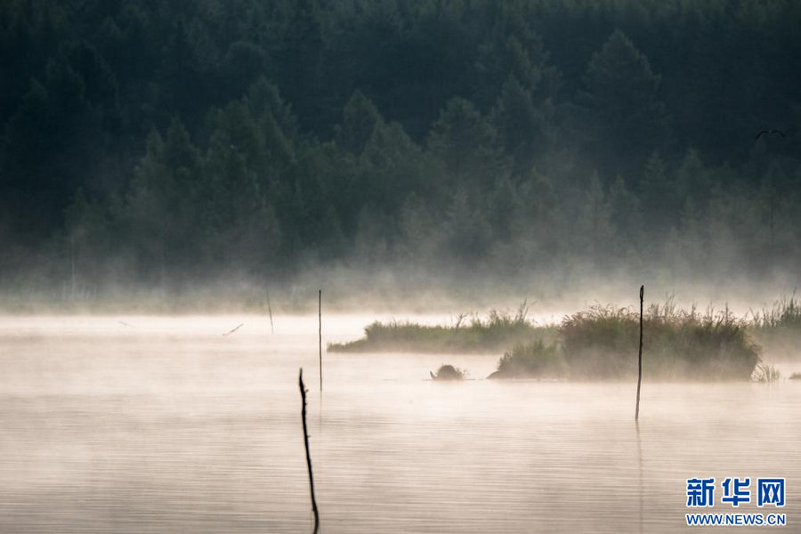 1753760417595990.jpg 202507288e7b878edf4443a883859788672d1fef_20250728c30f055a2629414aba90afc9905ac36c.jpg