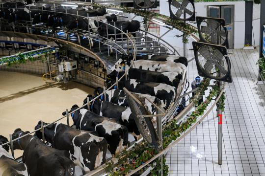 1755219451612944.jpg 2fab_17880_eff_thumb_1d12431a-c96d-4b3d-aad1-7b7bf30110a6.jpg