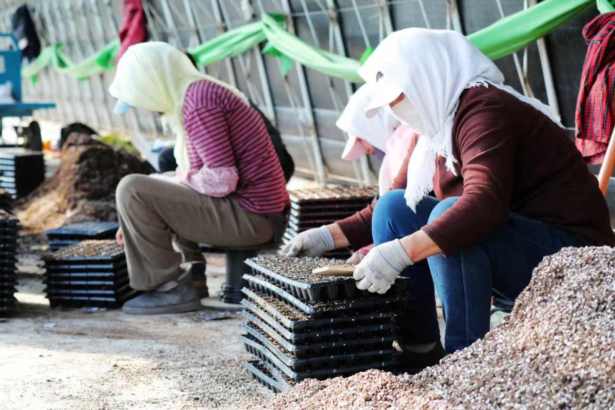 1773045057136281.png 1773045057136281.png