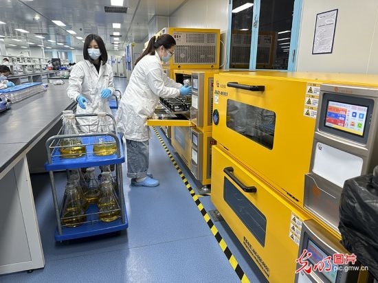 【高質(zhì)量發(fā)展看中國】基因遞送排頭兵 可實(shí)現(xiàn)“個(gè)性化”定制