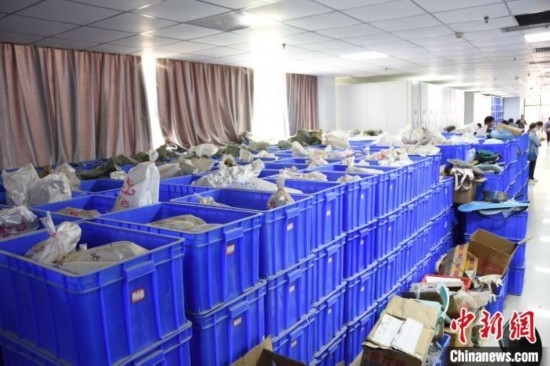 圖為待清理的骨骼標本。王宇 攝