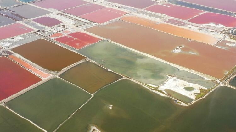 鑒往知來(lái)，跟著總書記學(xué)歷史丨走進(jìn)一座博物館，尋根五千年中華文明