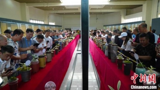 圖為活動(dòng)現(xiàn)場。 云南省委臺(tái)辦供圖