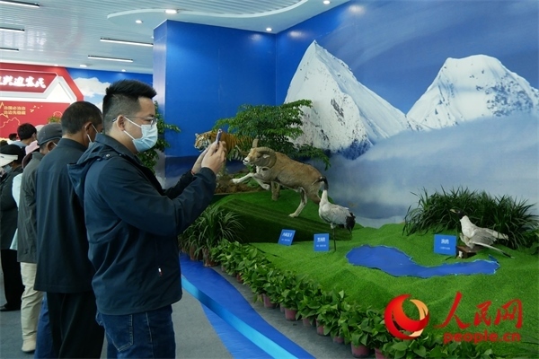 6月17日，觀眾正在觀展。人民網(wǎng) 韋衍行攝