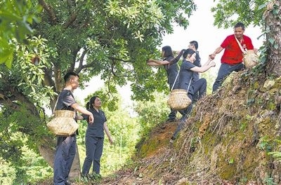 村民幫助志愿者爬上山坡。