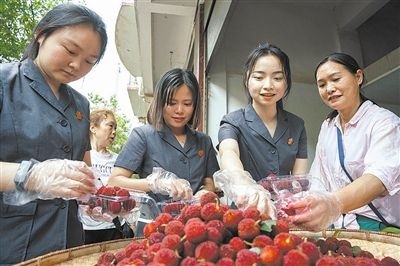 志愿者和村民一起將摘下的楊梅裝進食品盒里。