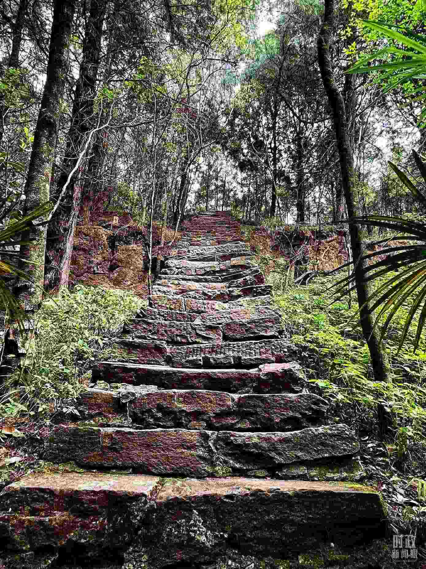 △古蜀道。（總臺央視記者郭曉龍拍攝）