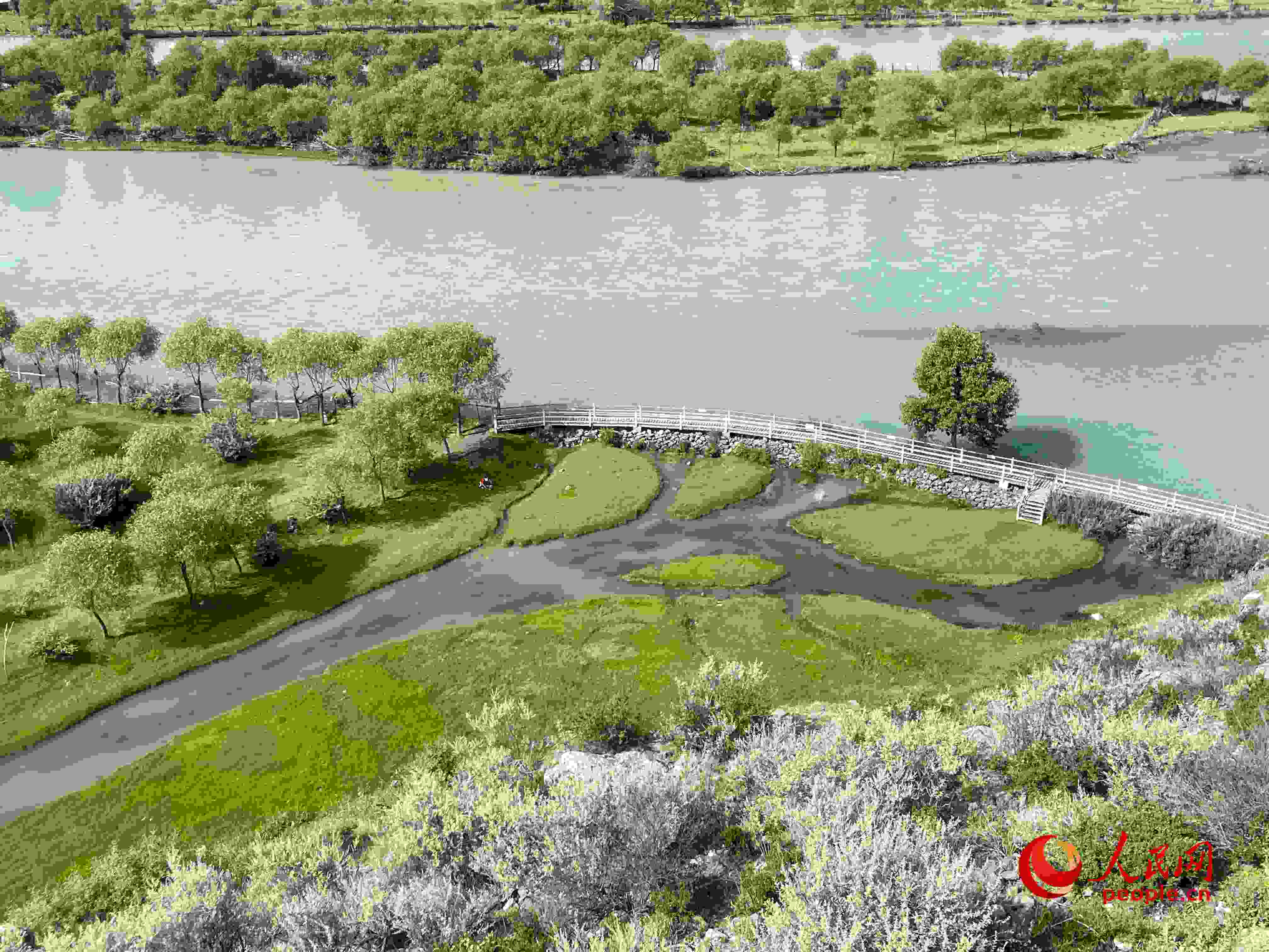 夏日的雅尼國家濕地公園生機(jī)盎然，如詩如畫。人民網(wǎng) 周靜圓攝