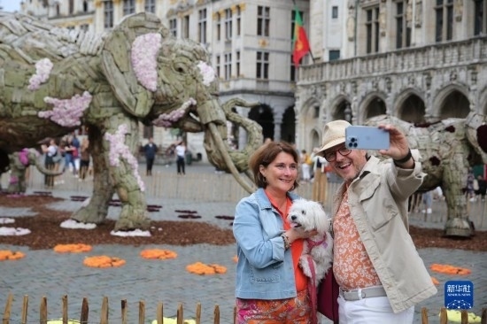 8月11日，觀眾在比利時布魯塞爾“鮮花時光”展覽上拍照。新華社記者 趙丁喆攝