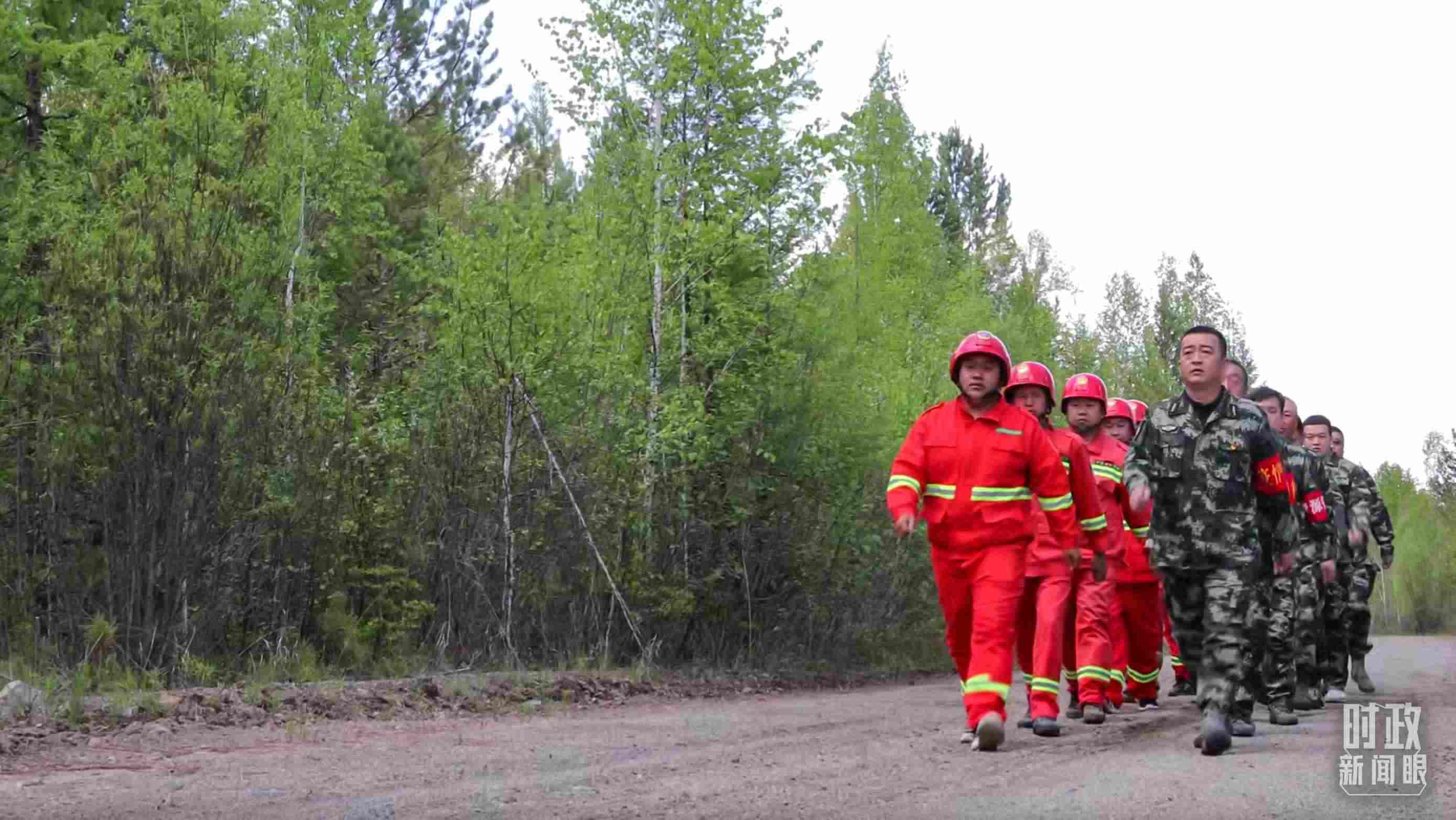 △林場里的森林巡護。