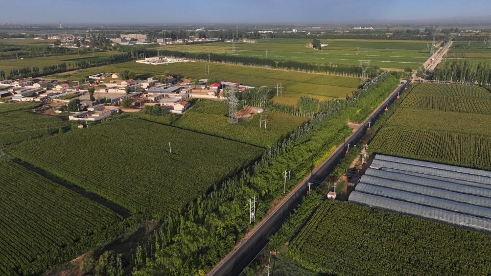 東興村周邊建起防護林網(wǎng)（無人機照片，2023年9月12日攝）。新華社記者李云平 攝