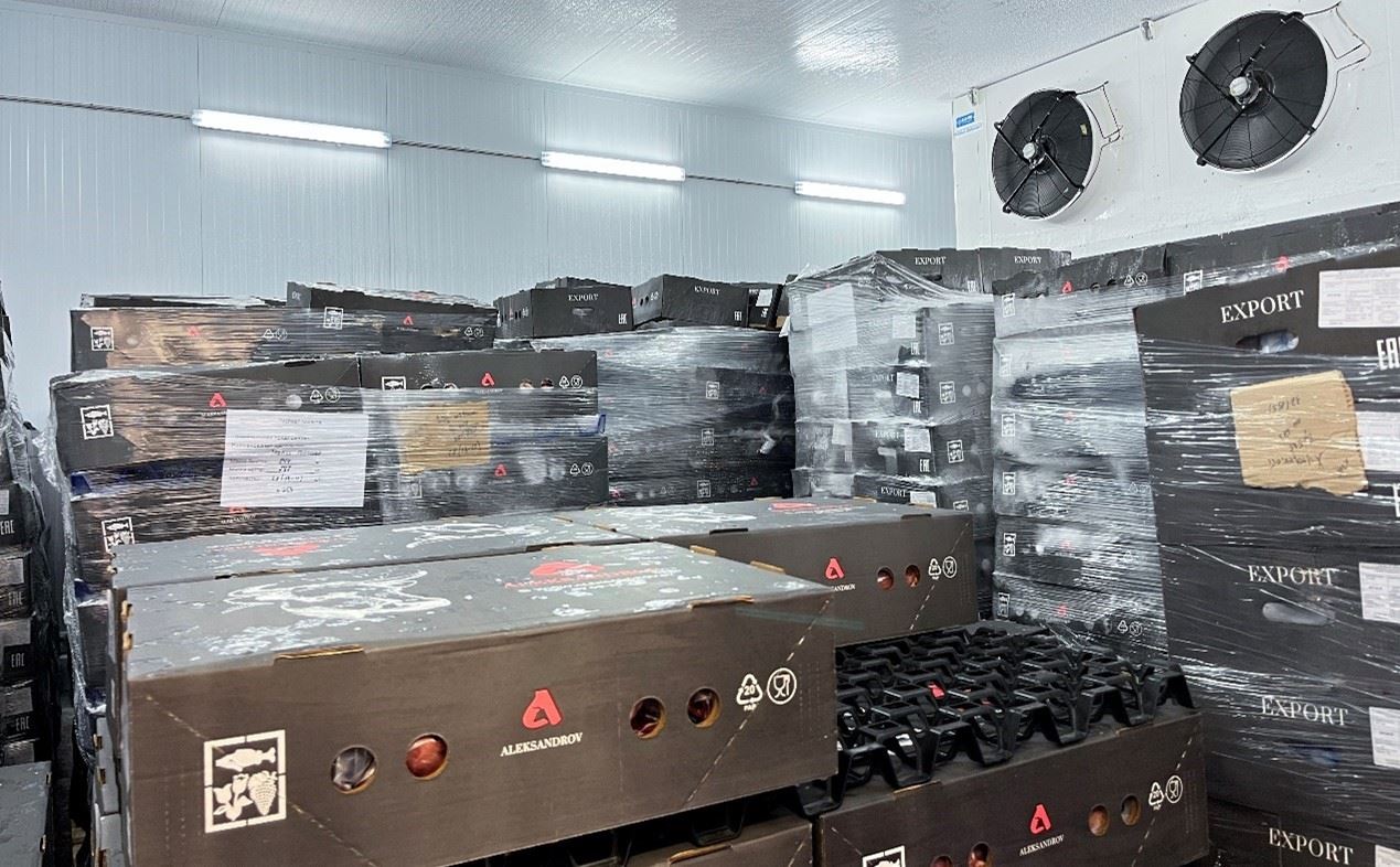 恒溫冷庫中，包裝好的牛肉等待發(fā)往中國。人民網(wǎng)記者 朱虹攝