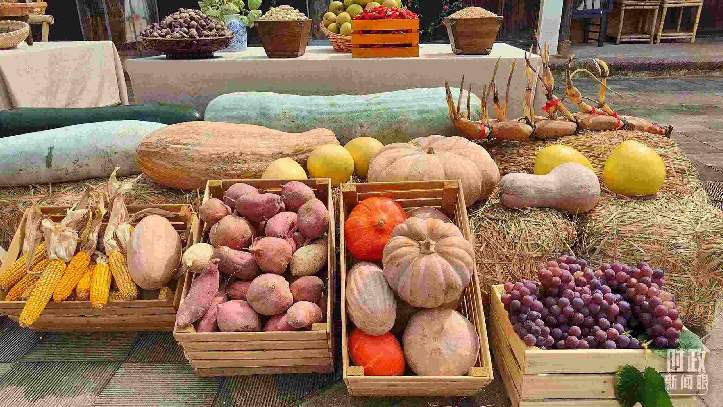 △村廣場“共富市集”，擺放著種類豐富的特色農(nóng)產(chǎn)品。（總臺央視記者楊立峰拍攝）