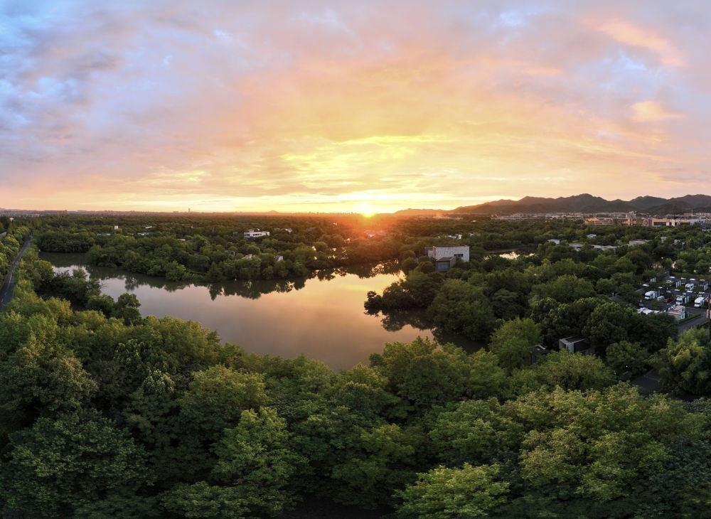 杭州西溪濕地日出景觀。