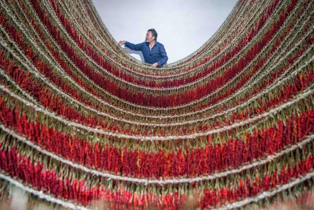 在貴州省畢節(jié)市大方縣理化鄉(xiāng)金雞村，村民查看辣椒烘干情況。新華社發(fā) 羅大富攝