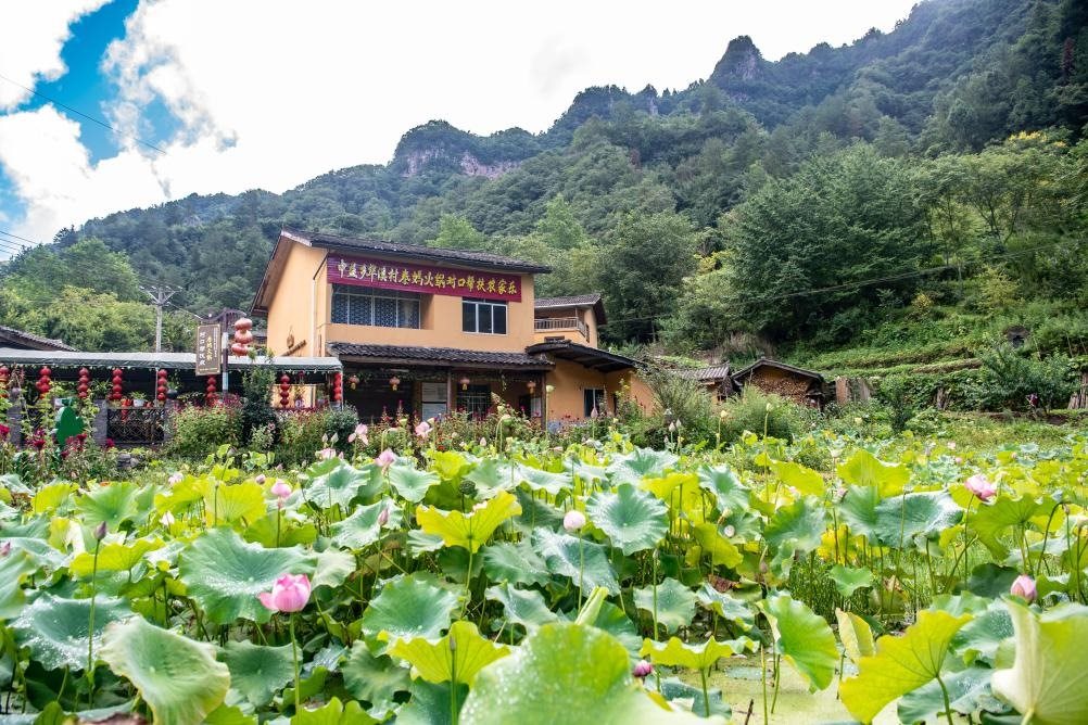 這是8月28日拍攝的華溪村村民開設的農(nóng)家樂外景。新華社記者 唐奕 攝