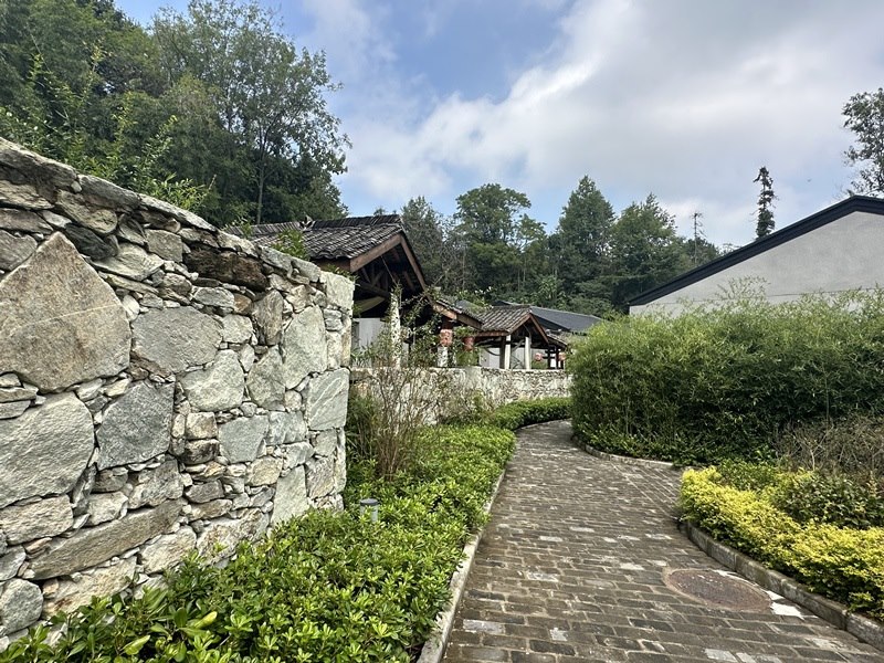 眾多民宿坐落于夫子山山麓。人民網(wǎng) 王紹紹攝