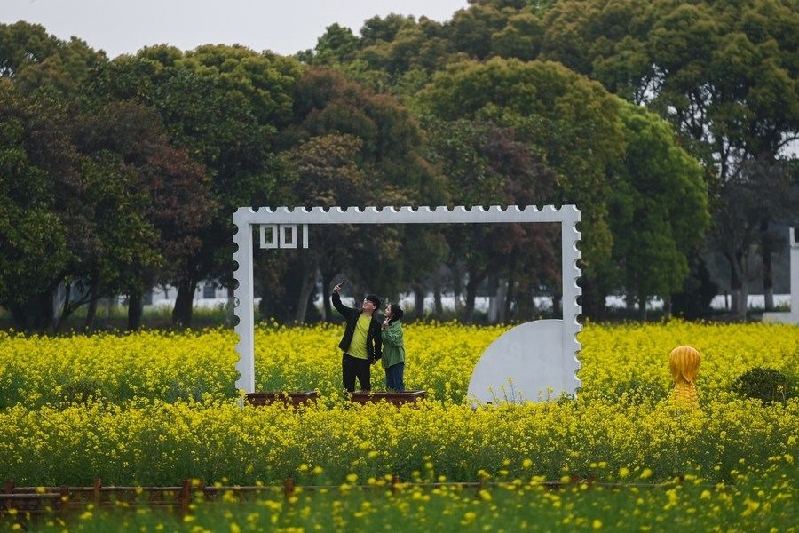  游客在浙江嘉興市秀洲區(qū)王店鎮(zhèn)鎮(zhèn)中村的“青青樂地”農(nóng)耕文化園內(nèi)游玩（2023年4月3日攝）。