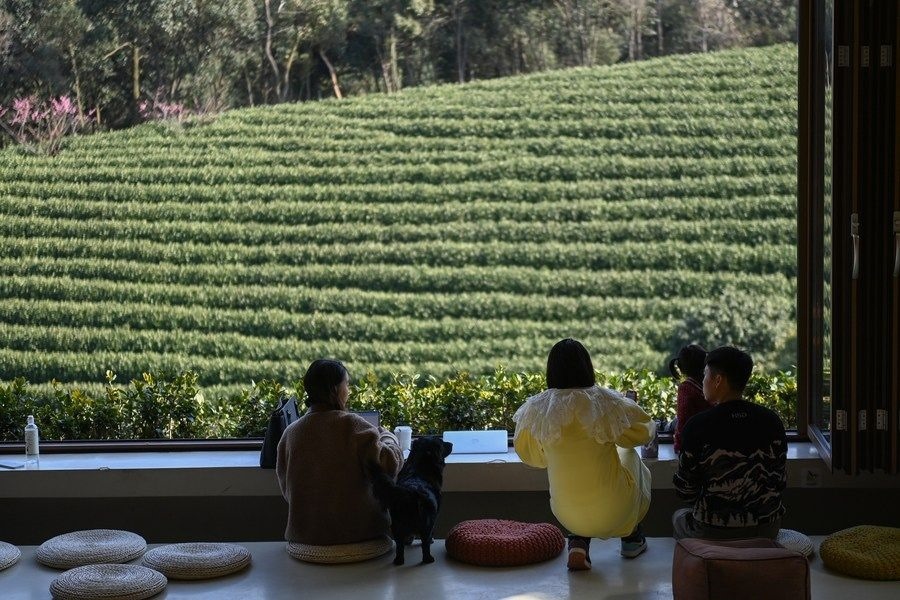 游客在浙江省安吉縣黃杜村萬畝茶園邊的咖啡館休閑（2023年2月21日攝）。