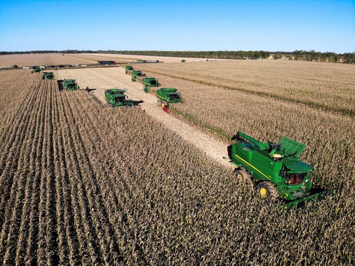 9月20日在位于黑龍江雙鴨山市友誼縣的北大荒農(nóng)業(yè)股份有限公司友誼分公司一地塊拍攝的秋收現(xiàn)場(chǎng)（無(wú)人機(jī)照片）。新華社記者 王松 攝