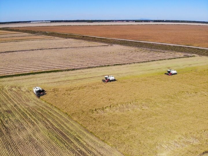 這是在位于黑龍江雙鴨山市友誼縣的北大荒農(nóng)業(yè)股份有限公司友誼分公司一地塊拍攝的水稻收獲現(xiàn)場(chǎng)（2023年9月21日攝，無(wú)人機(jī)照片）。新華社記者 王松 攝
