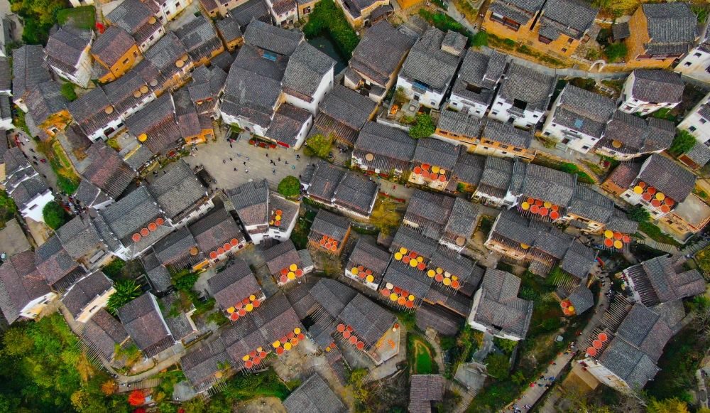 這是婺源縣江灣鎮(zhèn)篁嶺村的曬秋景象（2019年11月7日攝）。