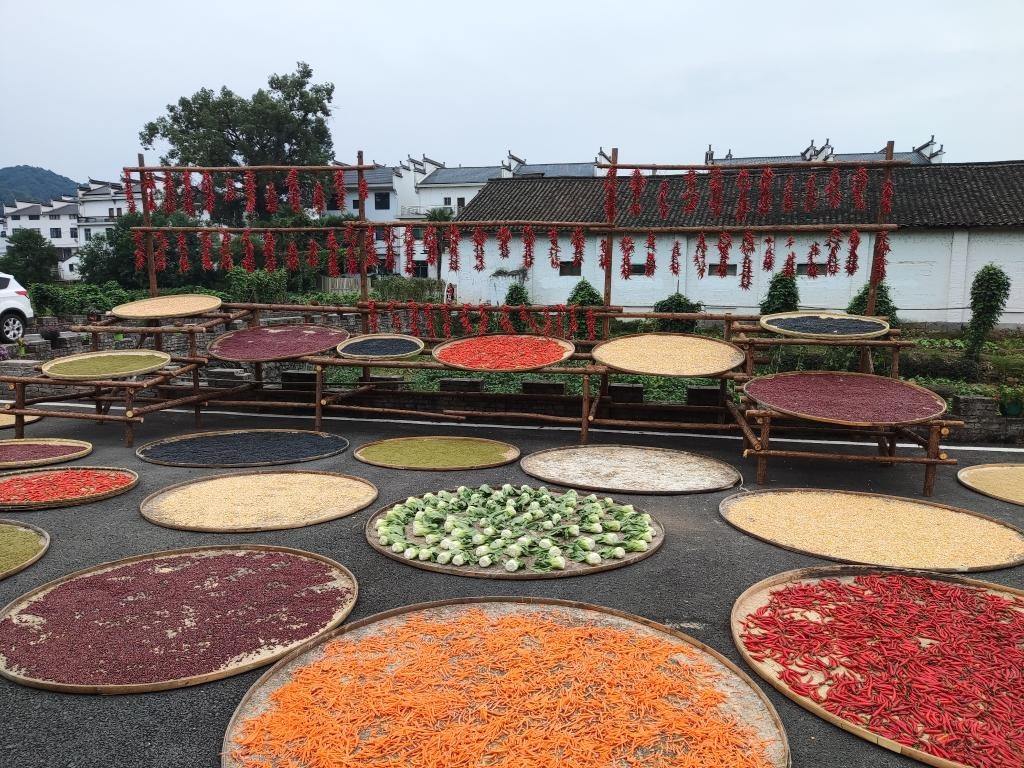 近日，江西省上饒市婺源縣秋口鎮(zhèn)王村村民晾曬的農(nóng)作物。新華社記者 劉佳敏 攝