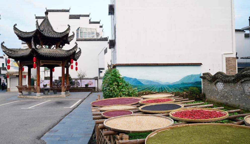 近日拍攝的江西省上饒市婺源縣秋口鎮(zhèn)王村石門自然村曬秋場景。新華社記者 胡晨歡 攝