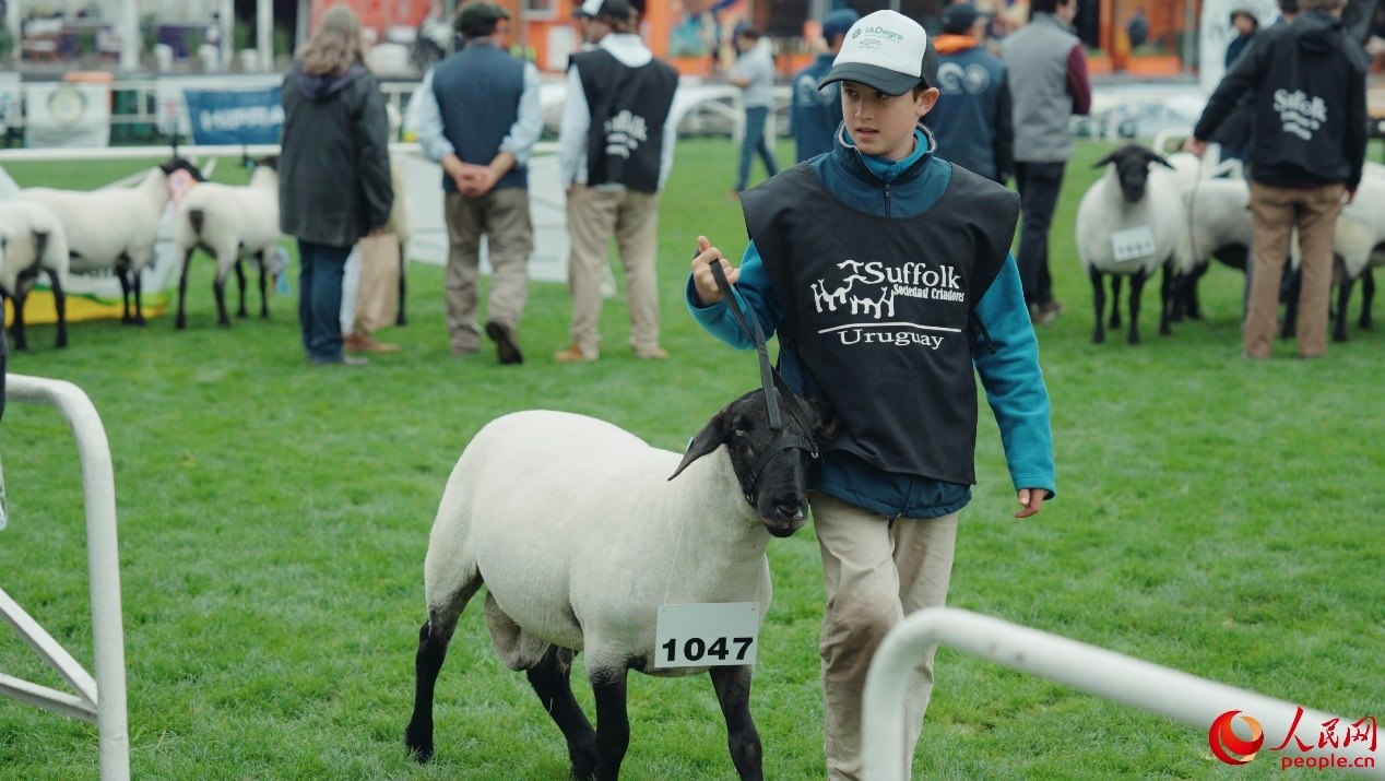 烏拉圭第118屆普拉多牧農(nóng)業(yè)國際博覽會現(xiàn)場。人民網(wǎng)記者 張若涵攝