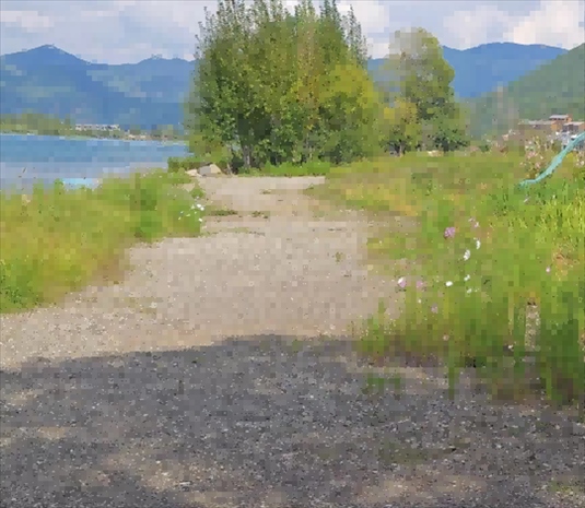 王軍所說被填區(qū)域。 人民網(wǎng)記者 黃鈺攝