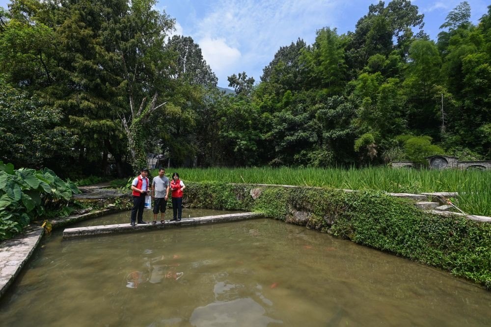 2023年8月17日，浙江省麗水市青田縣方山鄉(xiāng)田魚養(yǎng)殖戶吳勇強(qiáng)（中）在接受青田農(nóng)商銀行“小蜻蜓”服務(wù)隊志愿者提供的“惠民易貸”上門服務(wù)。近年來，青田縣金融發(fā)展中心聯(lián)合各個金融機(jī)構(gòu)優(yōu)化配套鄉(xiāng)村振興金融服務(wù)，推出“惠民易貸”“農(nóng)家樂貸”等金融產(chǎn)品，重點(diǎn)支持涉農(nóng)龍頭企業(yè)及特色種養(yǎng)殖產(chǎn)業(yè)。新華社記者 徐昱 攝