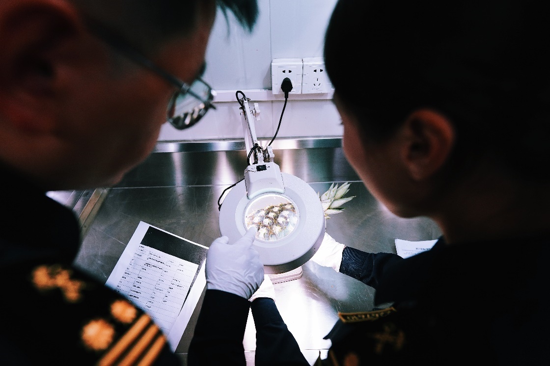 上海海關(guān)關(guān)員針對檢疫性有害生物和農(nóng)藥殘留進(jìn)行檢疫檢驗。陳興洲攝