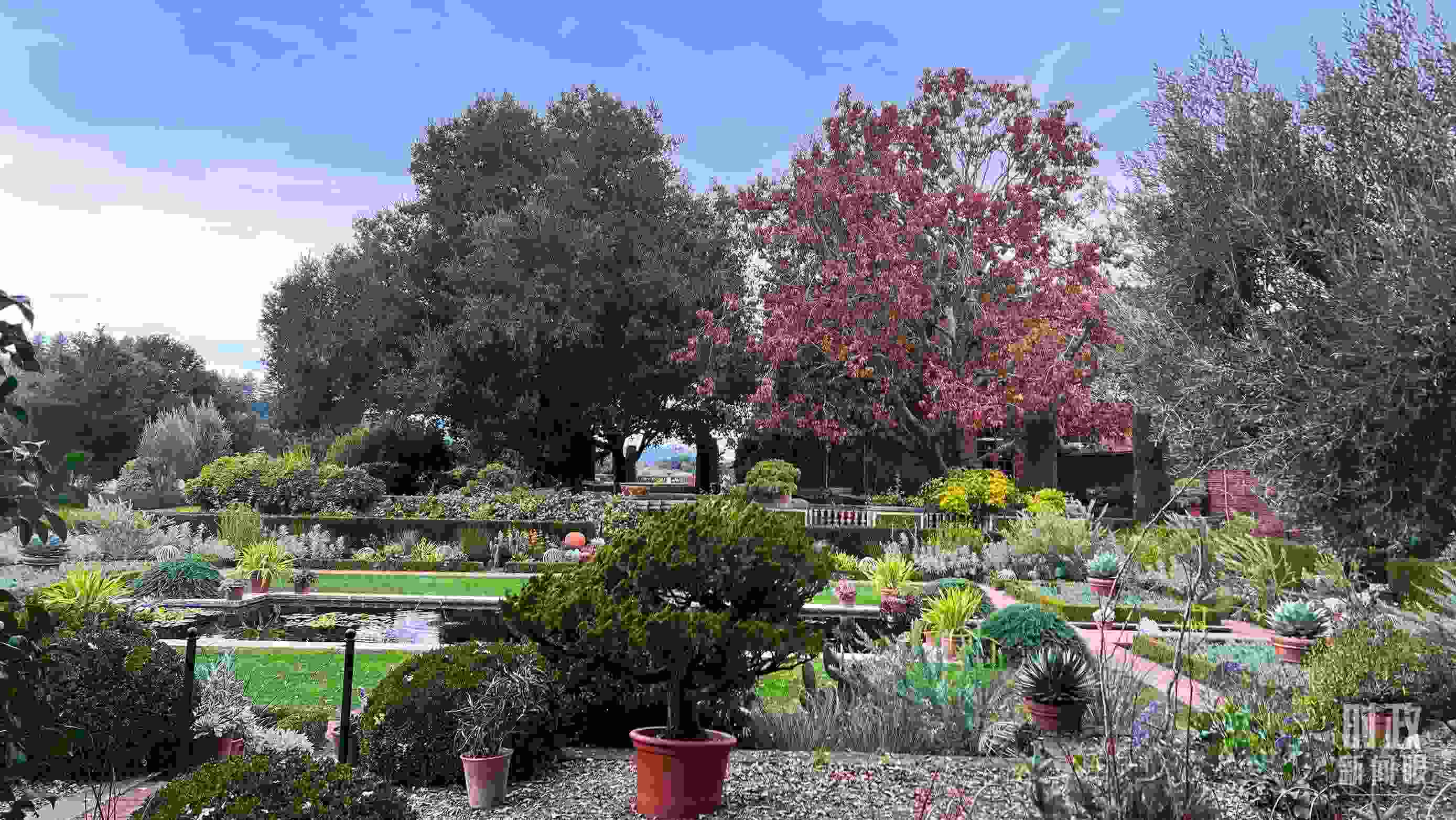 斐洛里莊園被稱作美國(guó)20世紀(jì)現(xiàn)存最精美鄉(xiāng)村莊園之一。（總臺(tái)央視記者程鋮拍攝）