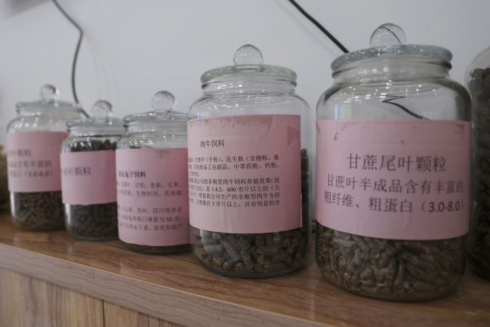這是12月13日在來(lái)賓市興賓區(qū)小平陽(yáng)鎮(zhèn)一家飼料廠拍攝的以甘蔗尾葉為原料制成的飼料。