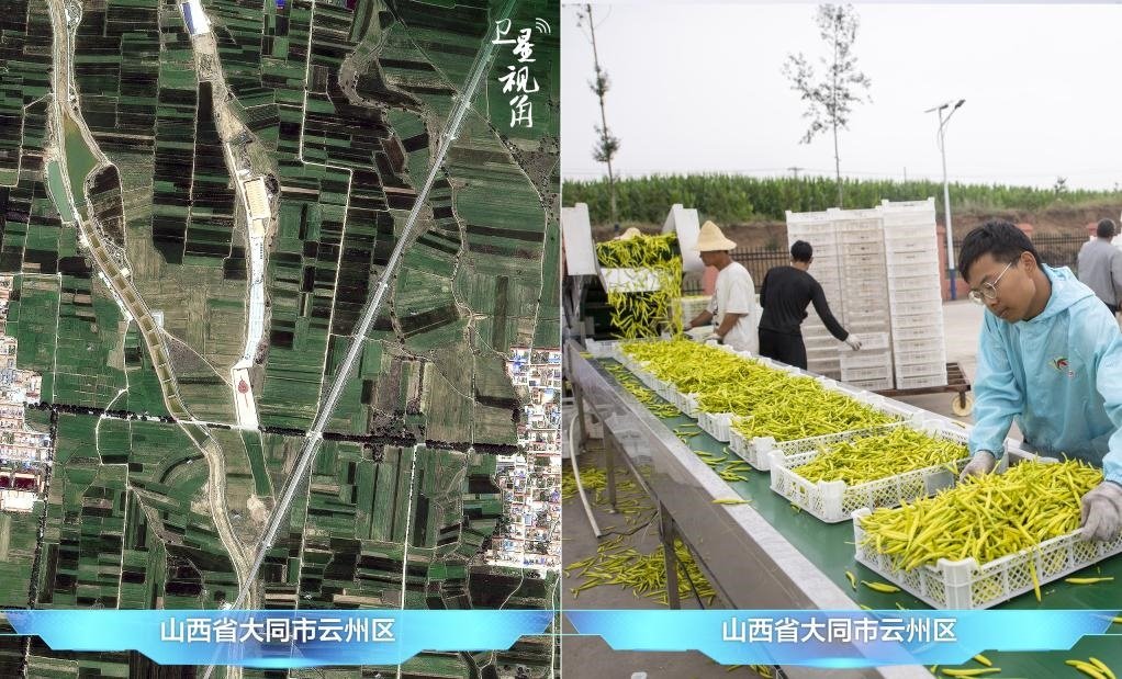 當(dāng)前，大同市開發(fā)黃花菜品、食品、飲品、功能食品、化妝品、文創(chuàng)產(chǎn)品六大系列130余種，全產(chǎn)業(yè)鏈產(chǎn)值超40億元。